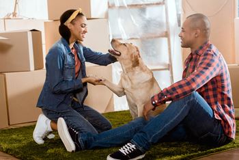 Pet Friendly 